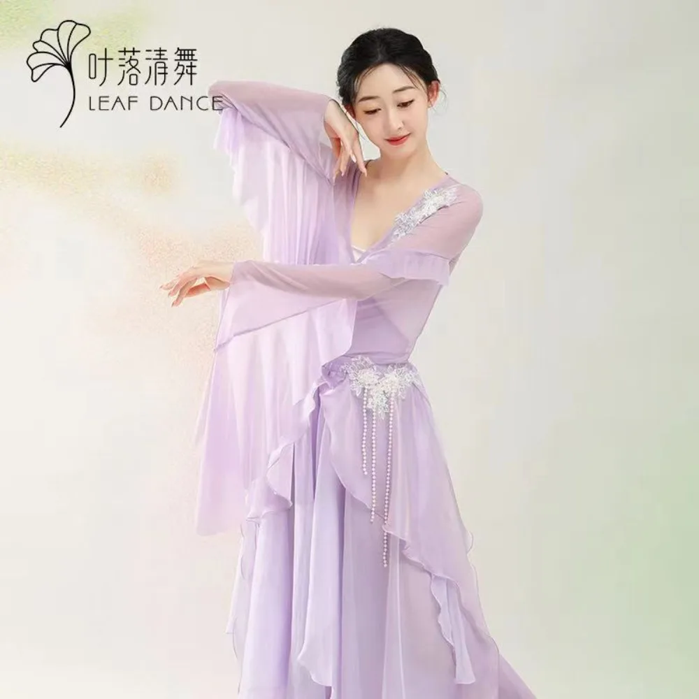 

Classical Dance Streamer Pantskirt Elegant Fairy Chinese Dancing Dress Net Dress Cardigan Exercise Clothing