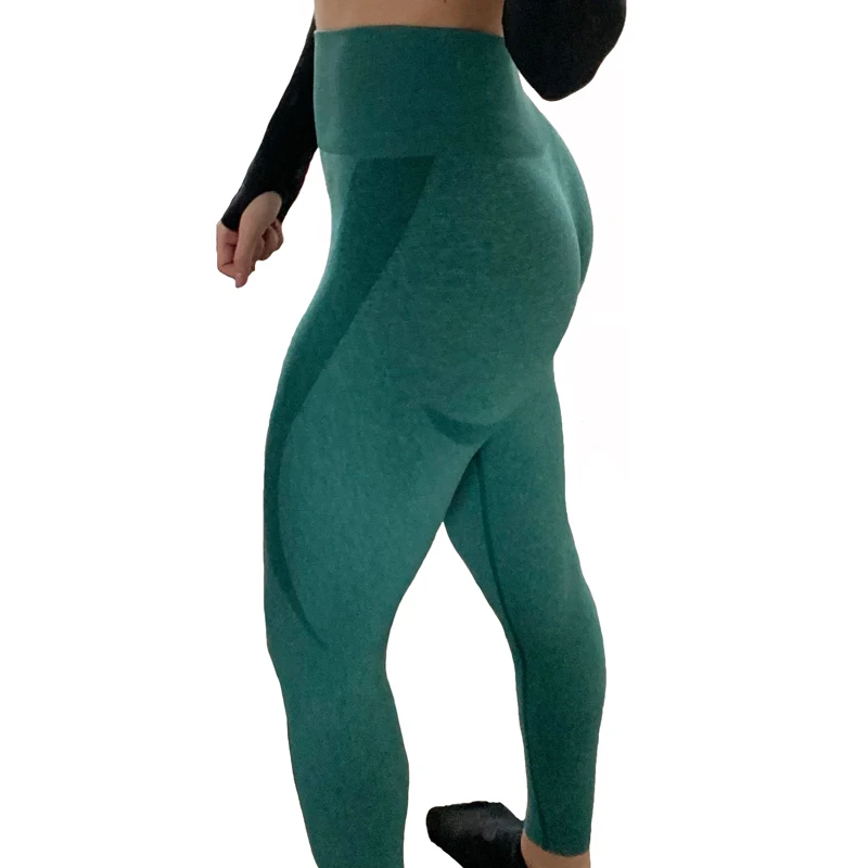 Sports Tights Seamless Leggings for 