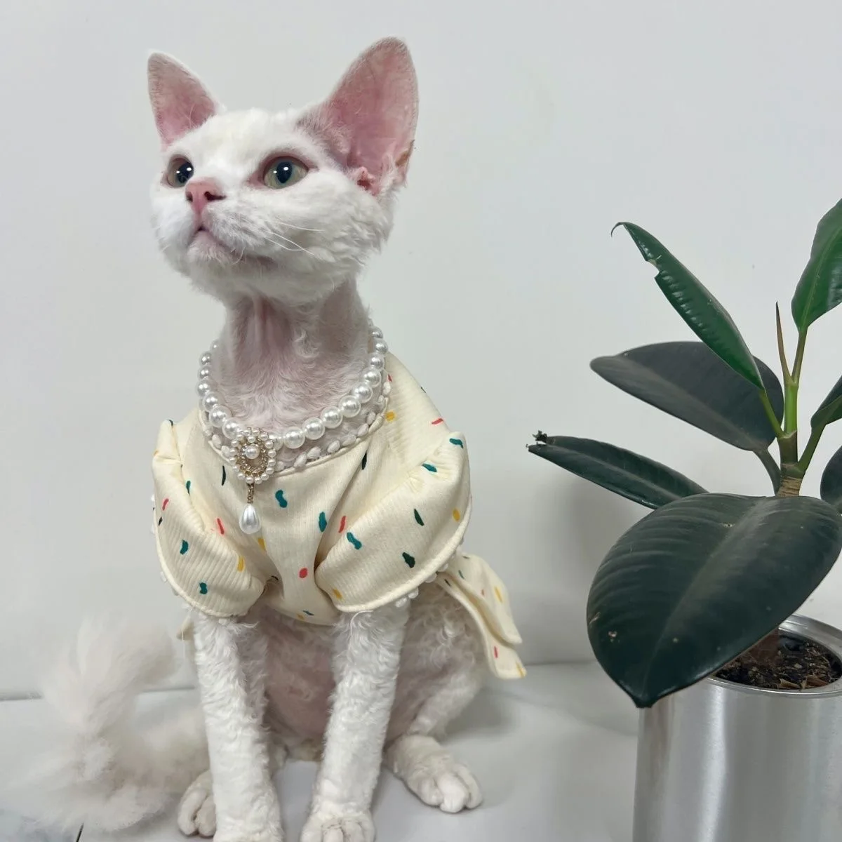 Роскошное жемчужное ожерелье для собак и кошек с бриллиантовой подвеской щенков