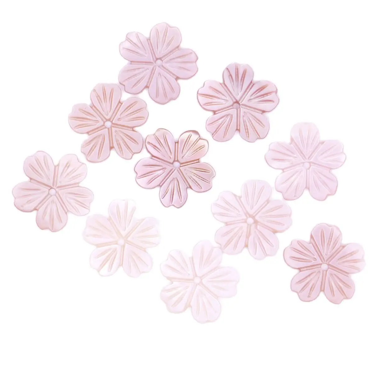 

10PCS Natural Queen Conch Shell Sakura Flower Mother of Pearl Charms DIY 15mm