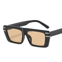 retro cat eyt frame sunglasses women fashion rectangle jelly sunglasses with metal hinges uv400 2022 luxury sun glasses men