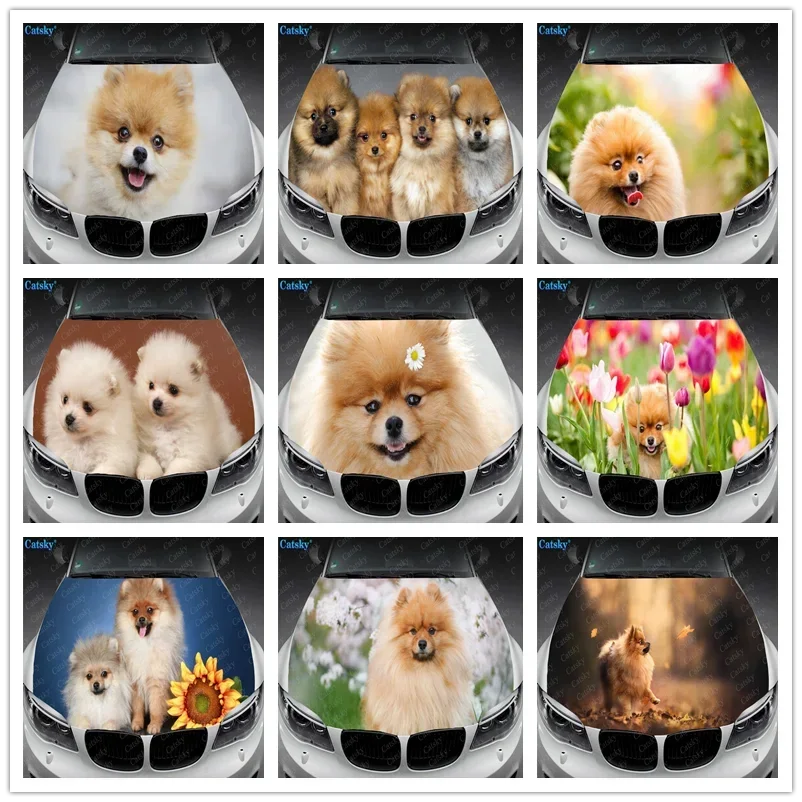 Виниловые наклейки на капот автомобиля с изображением померанского шпица