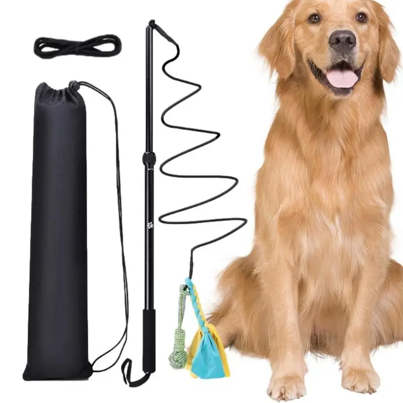 Dog Extendable Teaser Wand Telescopic Kitten Toy Teasing Cat Wand Toy Extendable Pet Teasing Flirt Pole Interactive Toy Dog Chew