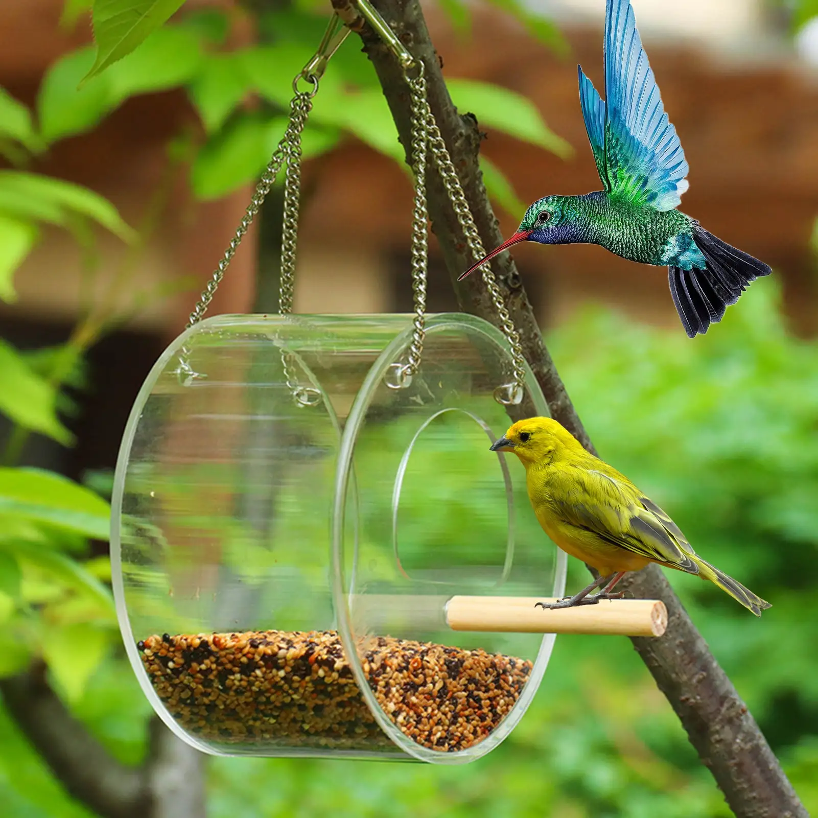 

Кормушка Для Колибри, зернистая кормушка для птиц, Прозрачная Круглая кормушка для птиц для украшения сада, дерева, двора