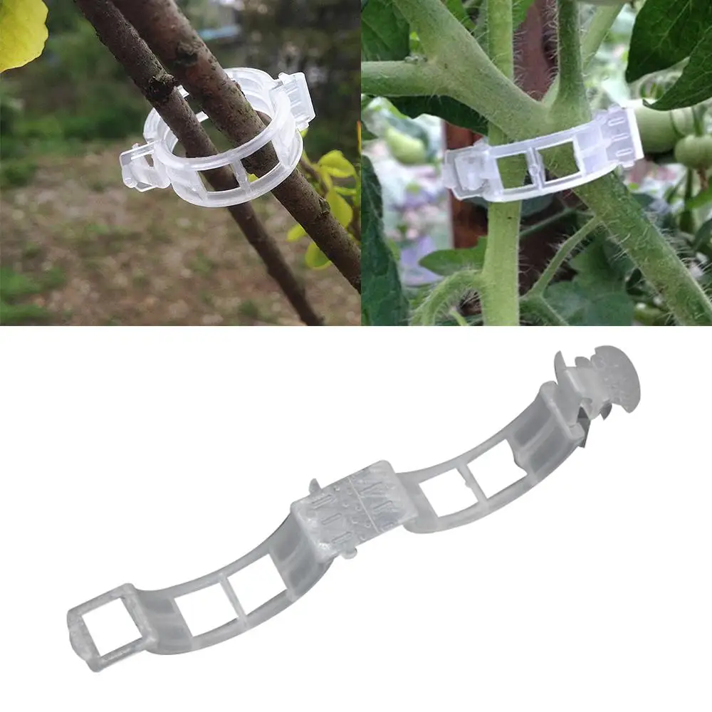 50pcs Reusable Plastic Plant Clips Supports Connects Protection Grafting Fixing Tool Gardening Supplies For Vegetable Tomato