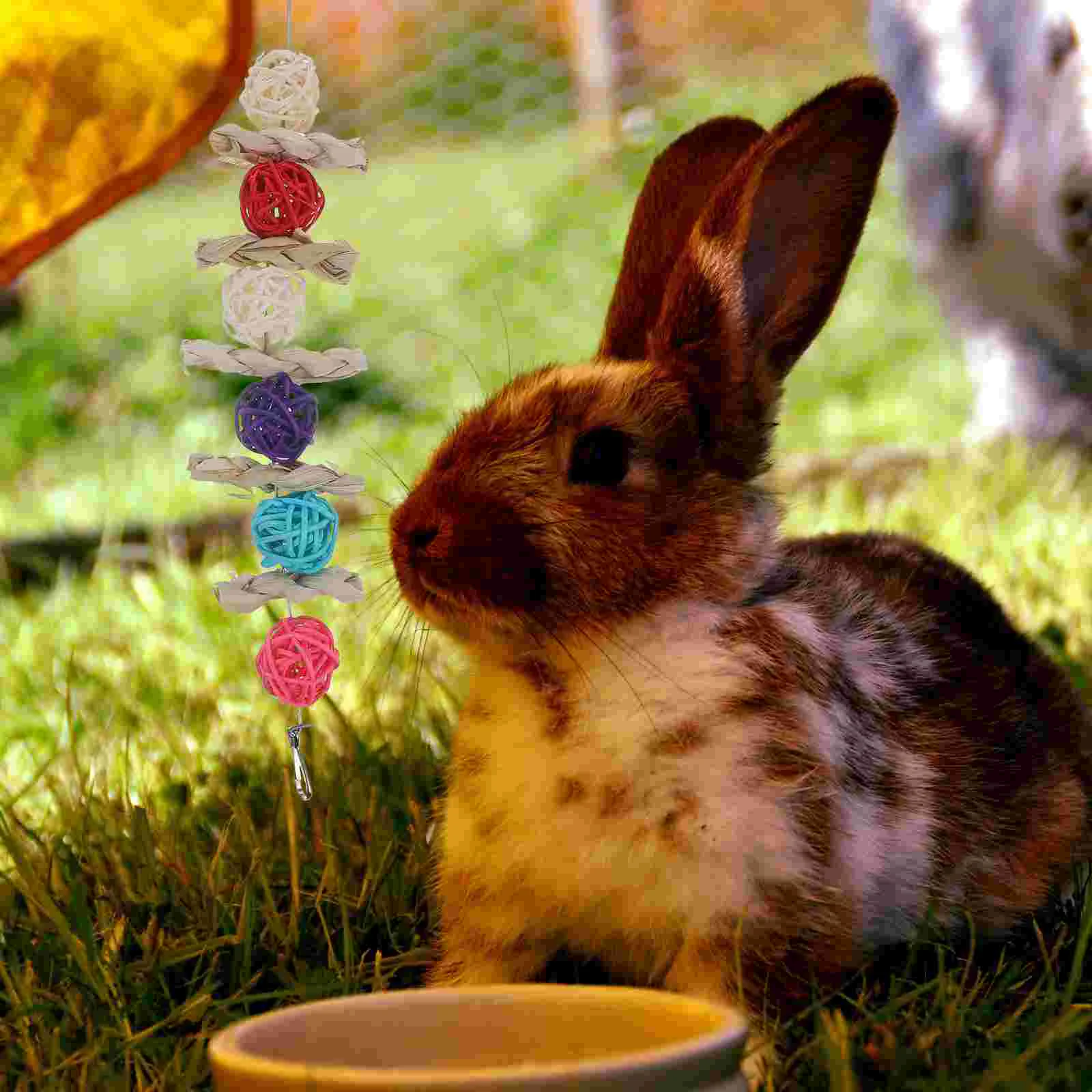 Жевательные игрушки для хомяков маленькие молярные шампуры домашних животных