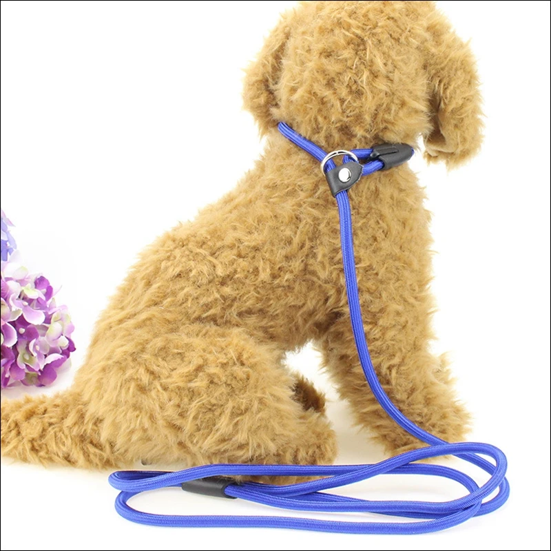 

Свинцовая веревка для домашних животных, Нейлоновый Регулируемый поводок для собак и кошек, аксессуар для дрессировки