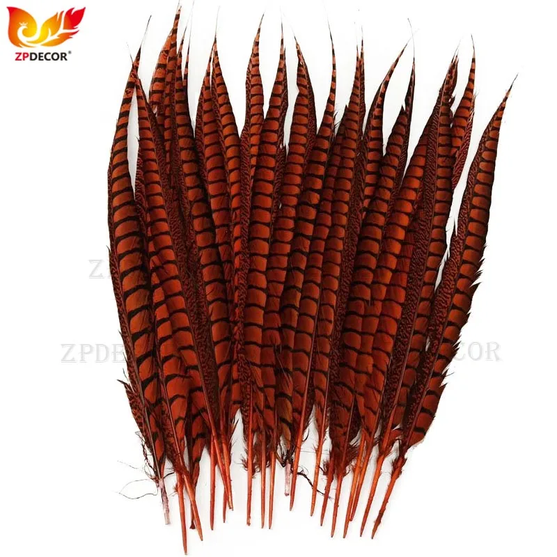 ZPDECOR Леди Перо фазана 50-60 см/20-24 дюйма для художественных промыслов Натуральные