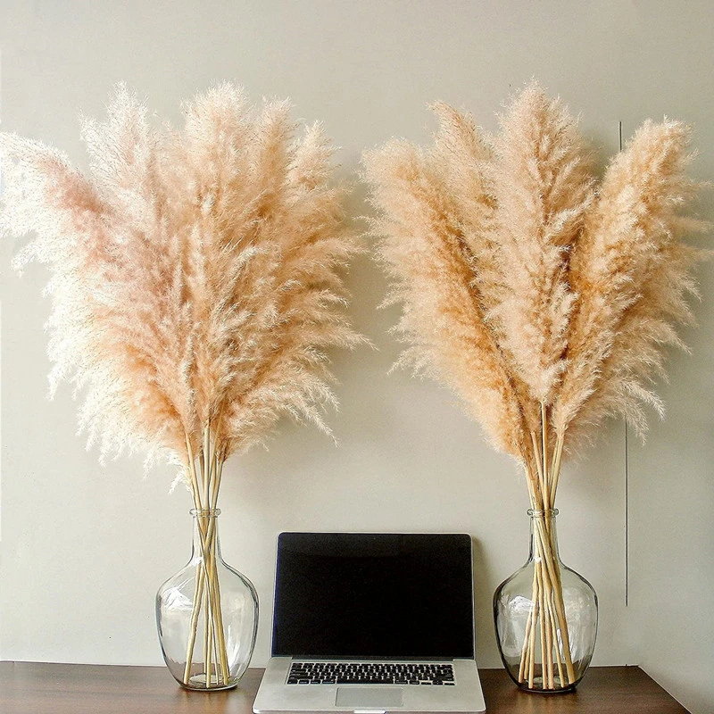 

80cm Pampas Grass Large Tall Fluffy Pampas Dried Flowers Boho Decor Plant for Vase Home Wedding Decor Flower Arrangement