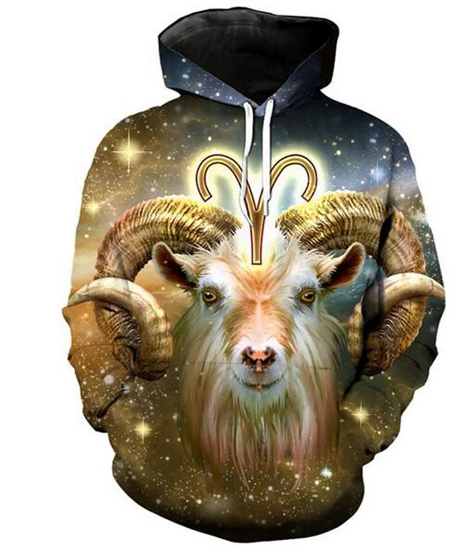 Hot Sales ! !12 Constellation Aries  3D Printed Men/Women's High Quality Hoodies/Hooded Pullover Long Sleeve Sweatshirts