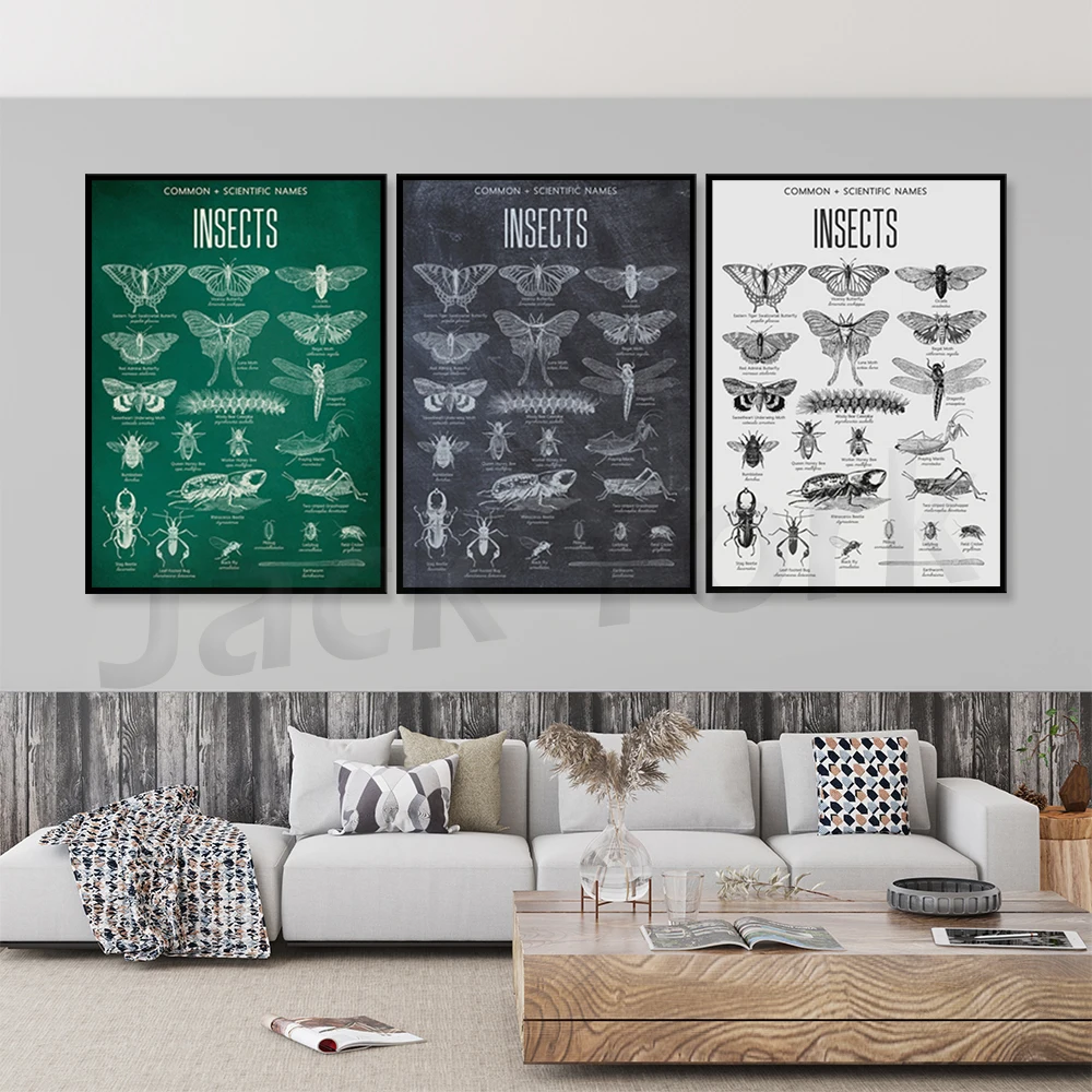 

Таблица насекомых для домашнего Хола или классного плаката