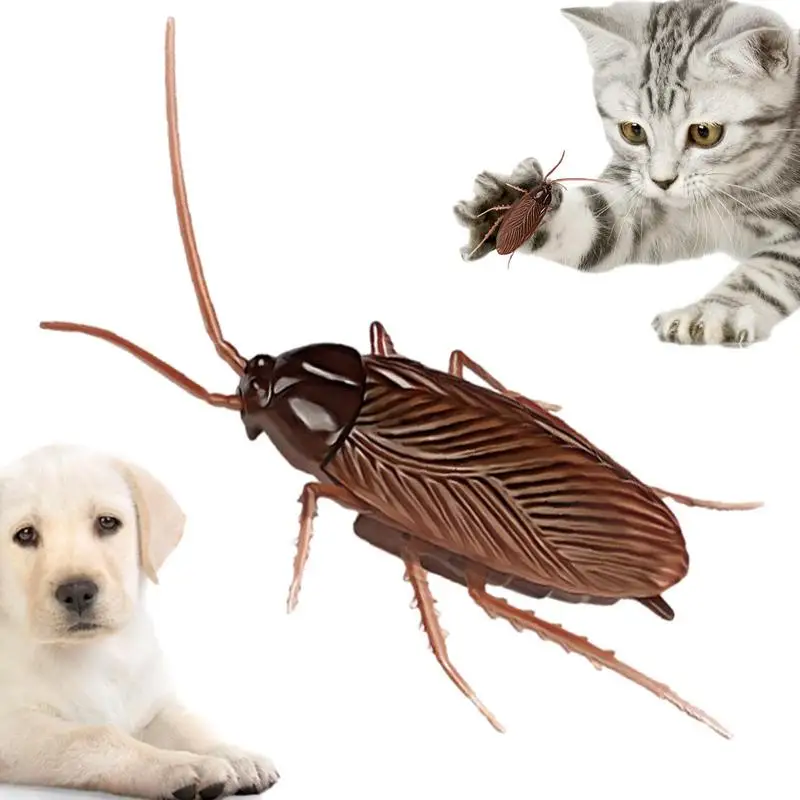 

Электрическая модель насекомого, ходячие маленькие тараканы, паук, игрушки для кошек, детская игрушка на Хэллоуин, подарки