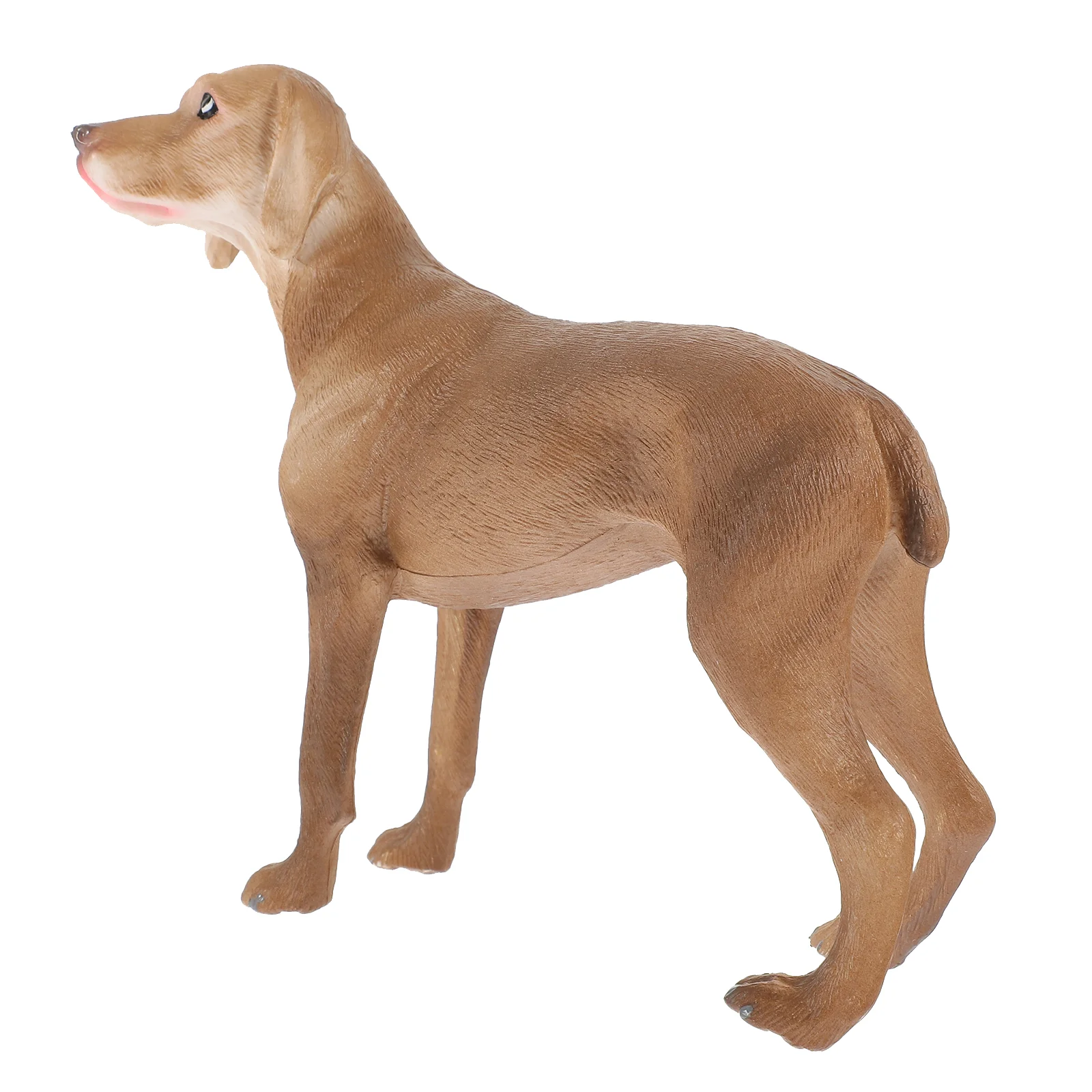 

Simulation Resin Dog Model Realistic Artificial Dog Statue Cognitive Model Puppy Toy