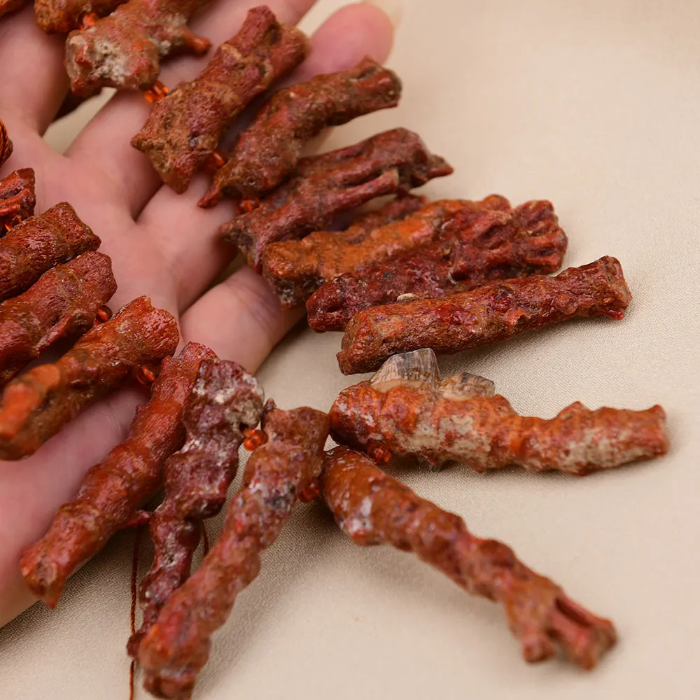 APDGG Большие натуральные красные оранжевые коралловые ветки сверху просверленные