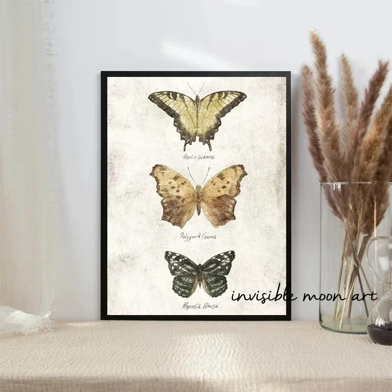 Классический стиль Danaus Plexippus бабочка и насекомое художественный принт на холсте