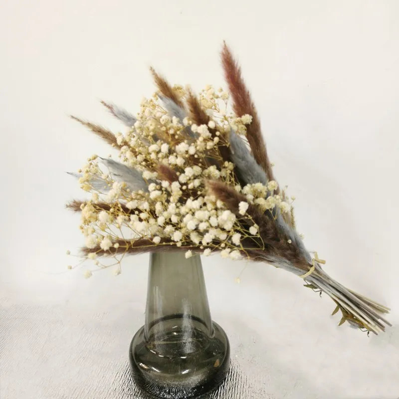 Pampas Natural Fresh сушеная Сохраненная Искусственные цветы Гипсофилы paniculata детский