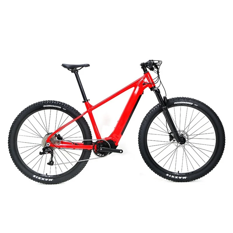 

Customized mtb ebike 13ah 16ah battery internal design mountain electric bike Bafang M410 M500 mid motor electric bicycle