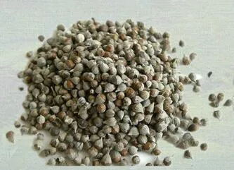 

Экстракт витекса священного (Agnus Castus) 900 мг, Витекс священный, Сделано в США