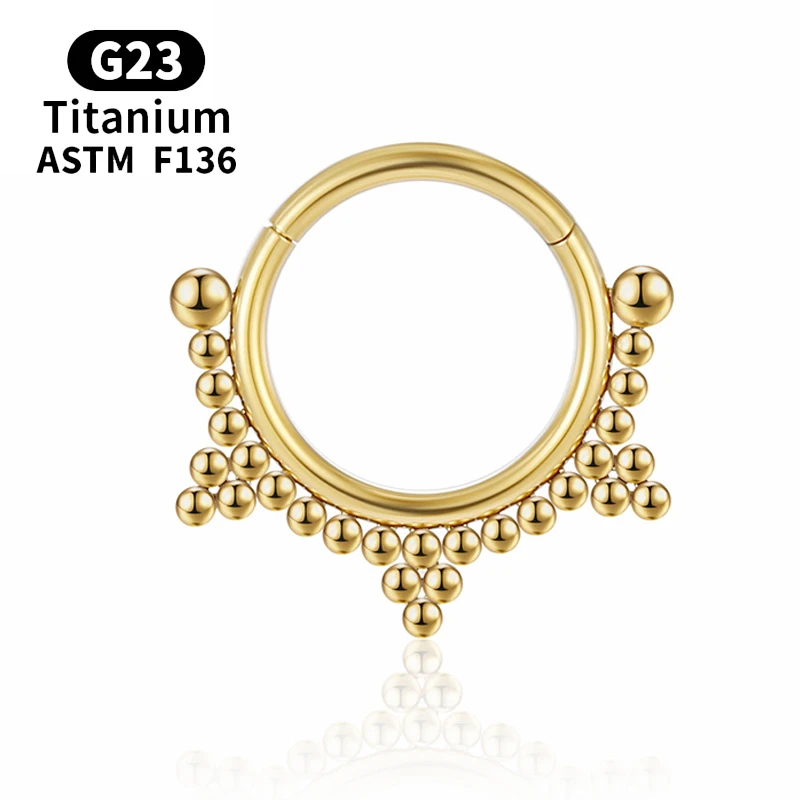 

Crystal Tragus Titanium Charming Industrial Piercing G23 Daith Body Jewelry Helix Hinge Segment G23 Nose Ring Earrings Septum