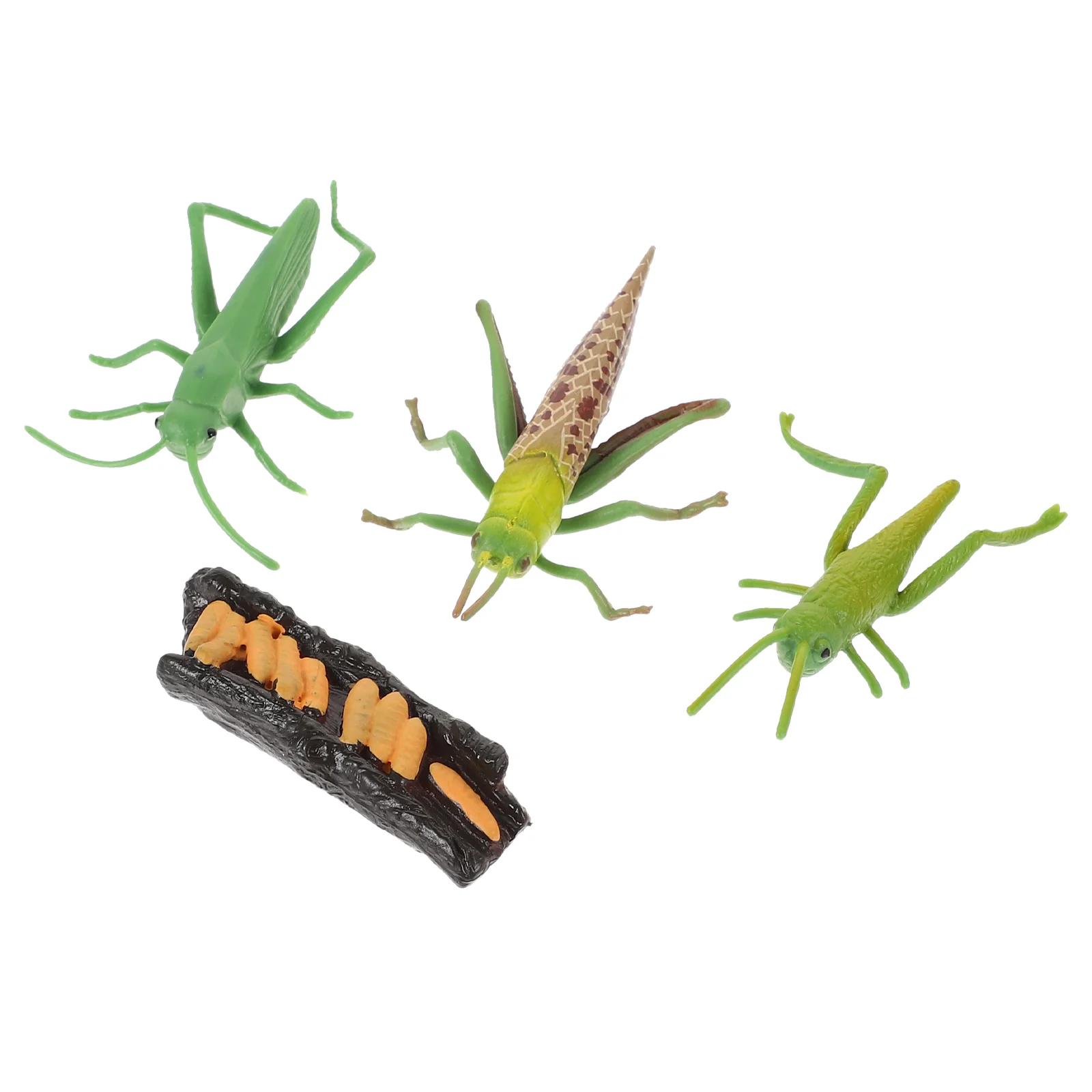 

Frog Decorations Stag Beetle Growth Week Funny Grasshopper Models Plastic Miniature Playthings Figurine Toy Child