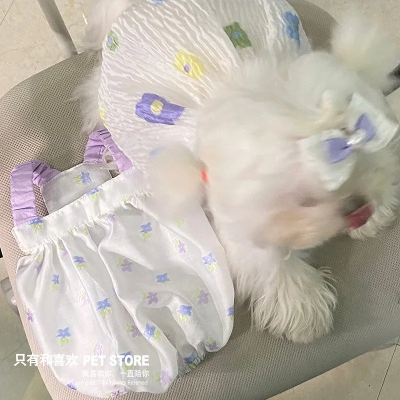 

Suspender Dress for Dogs Clothes Cat Small Floral Print Pumpkin Skirt Dog Pet Clothing Bubble Skirts Cute Thin Spring Summer