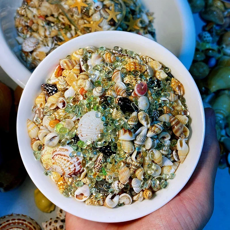 

Натуральные ракушки 400 шт