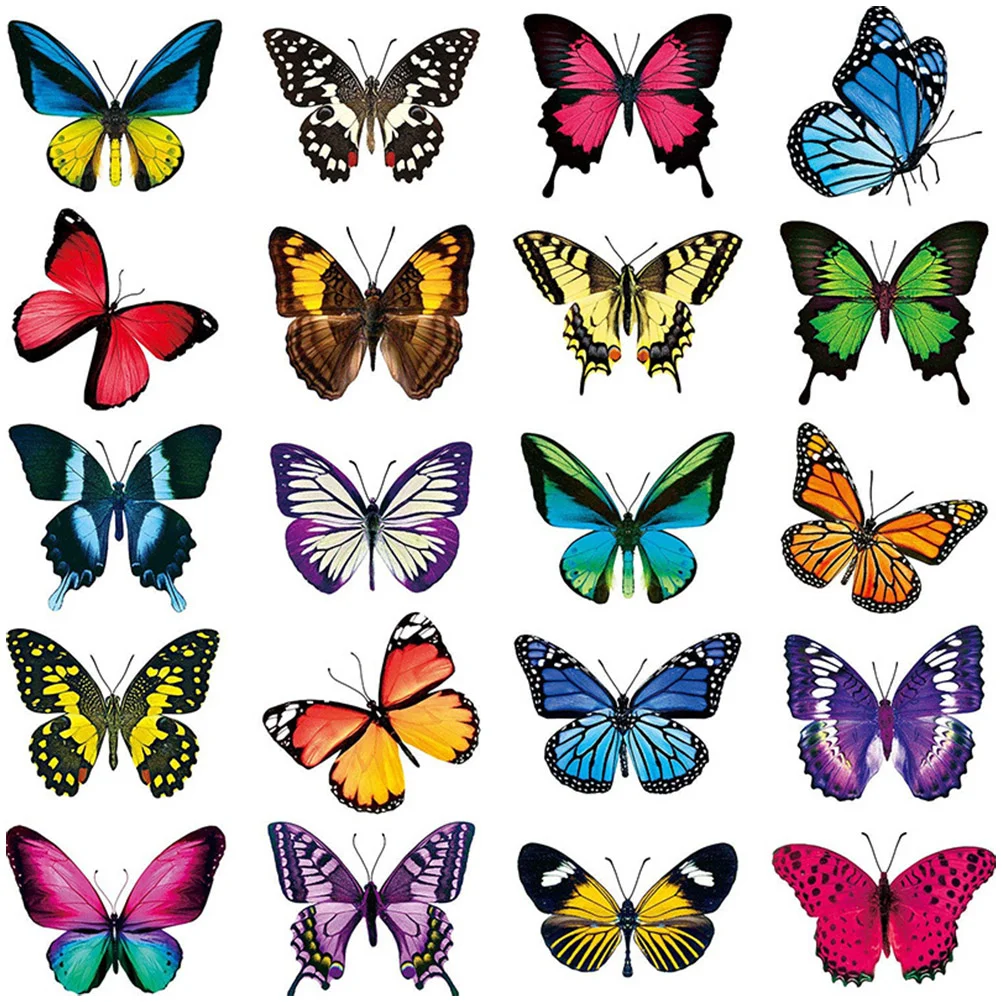 

Butterfly Applique Color Stickers Shapes Glass Birds Alert Clings Pvc Avoiding Decals