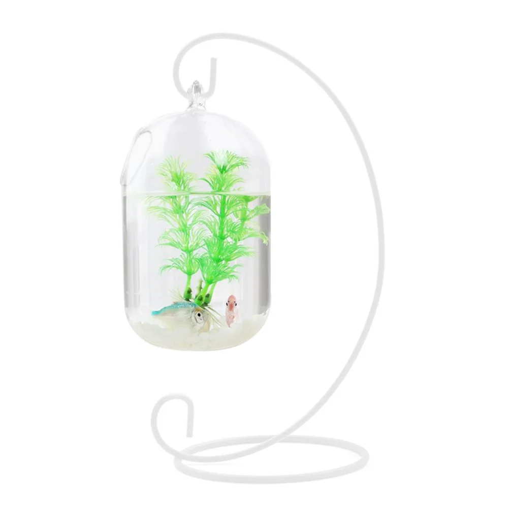 

15cm Suspended Transparent Hanging Glass Fish Tank Infusion Bottle Aquarium Flower Plant Vase Flower Vase for Home Decoration