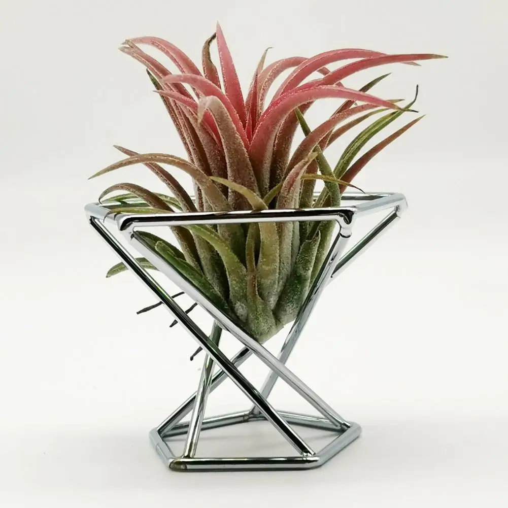 

Useful Airplant Container Pot Metal Plant Display Rack Elegant Exquisite Workmanship Tillandsia Display Stand Nordic Style