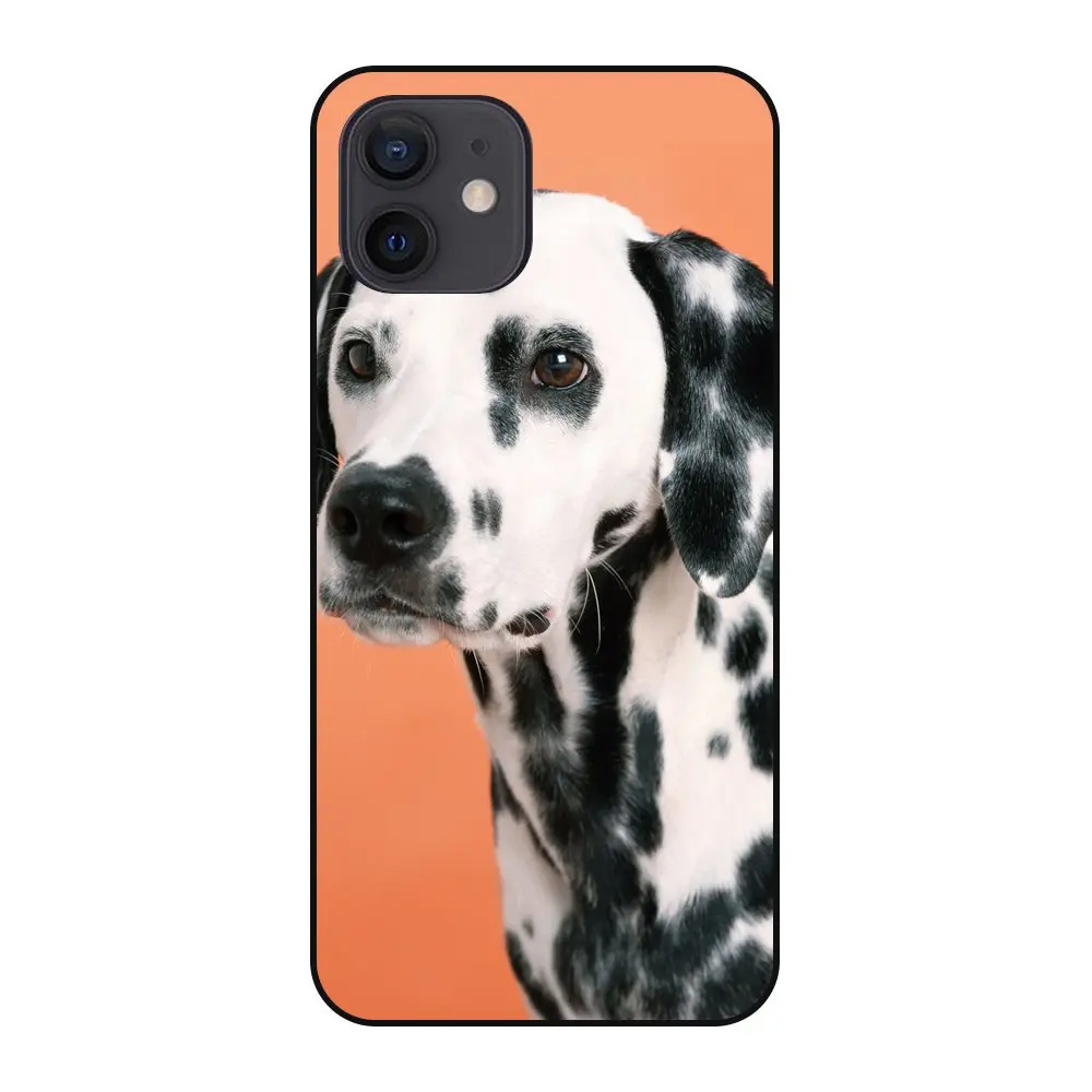 Аксессуары для iPhone 12 mini очень дешевые собаки чехлы телефонов Чехол черный чехол