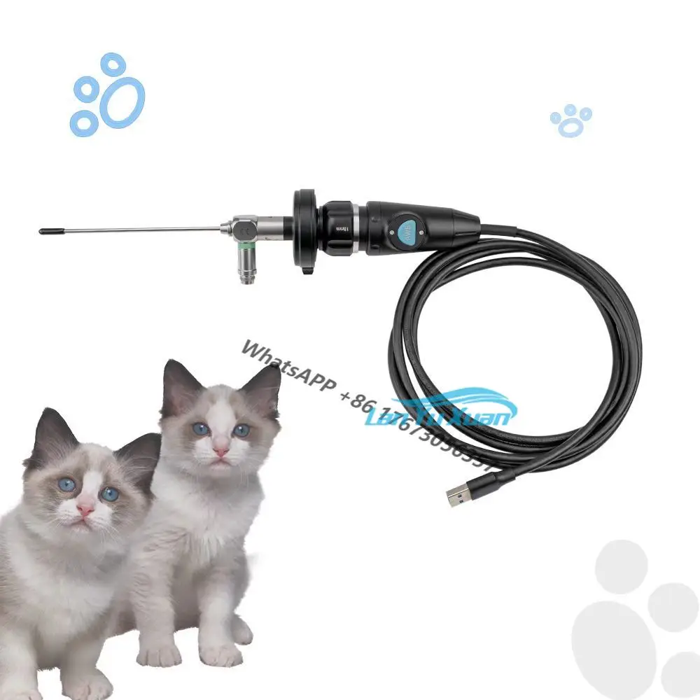 

1080P HD Portable Medical Endoscopic for ENT Rigid Nasal Endoscopy