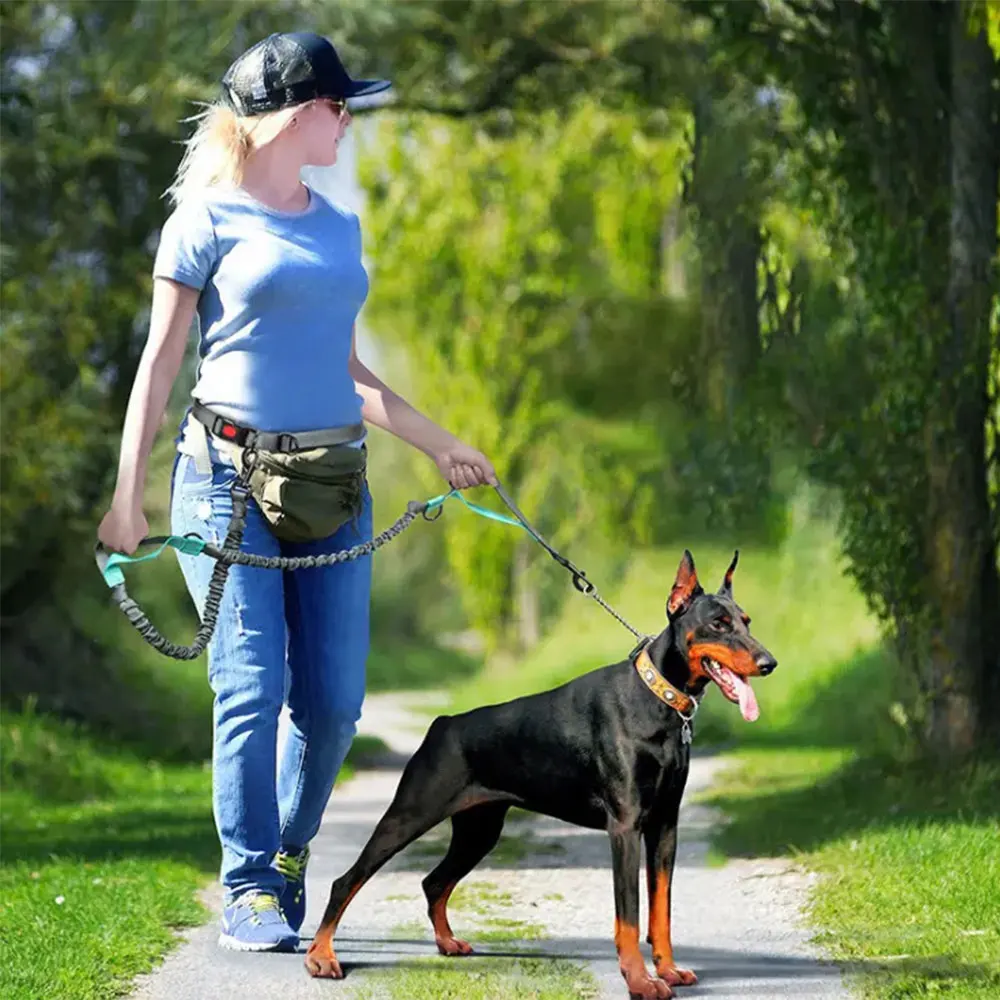 

High Qulity Retractable Hands Free Dog Leash For Running Dual Handle Bungee Leash Reflective For Large Dogs Pet Supplies