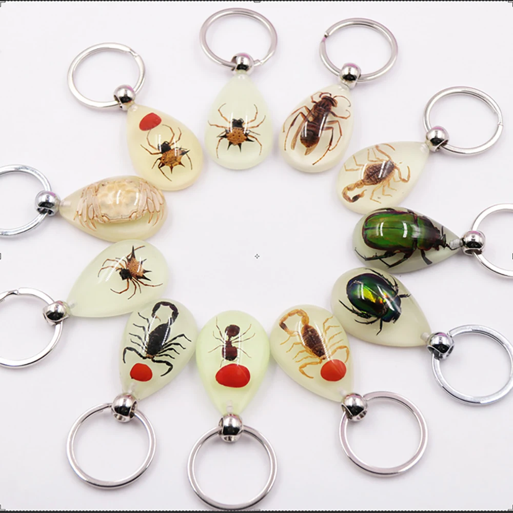 

Transparent Insect Keychain Natural Resin Amber Key Pendant Real Insect Specimen Glow at night Scorpion Spider Amber Key Ring