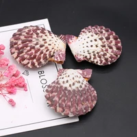 1pc natural shell accessories sea shell shape natural purple shell beads for diy jewerly party gift 40x45mm
