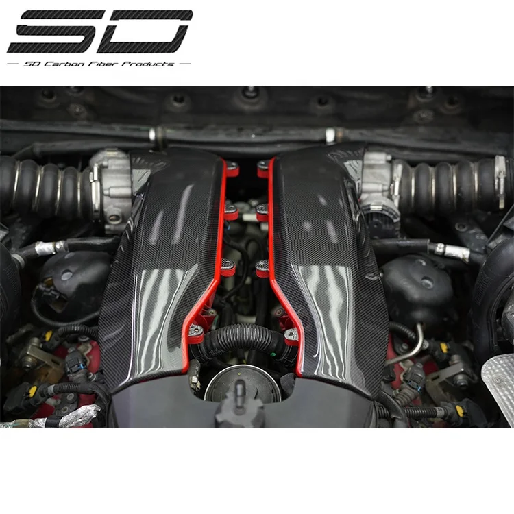 FER-RA-RI 488 углеродное волокно INNEN позвонок ABDECKUNGEN (MIT OEM-EMBLEMEN)