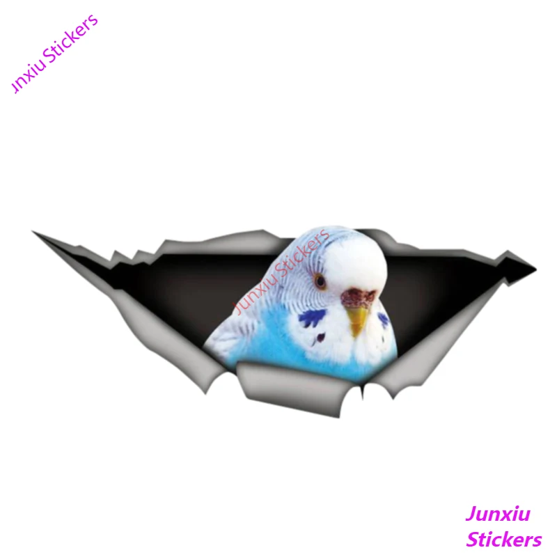 

Виниловая 3d-наклейка для автомобиля Budgie, 13 см X 5 см
