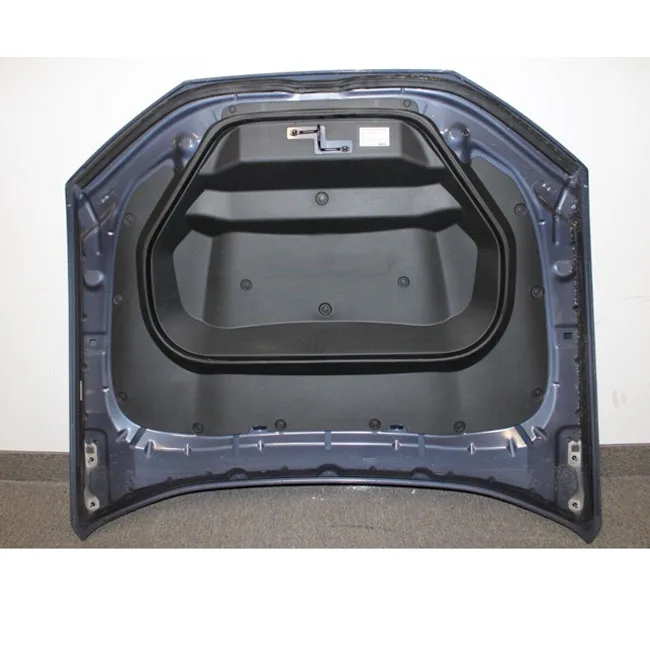 Передняя капота BAINEL для FORD MUSTANG MACH E капот в сборе 2021 US VISION OEM No LJ8Z16612A