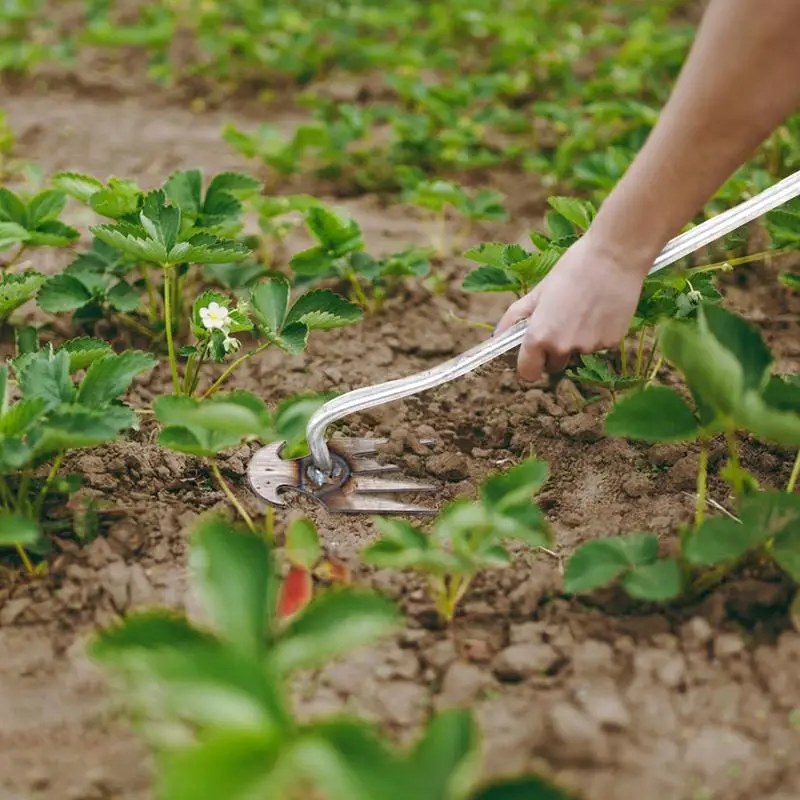 

Weeding Artifact Uprooting Agricultural Garden Tool Extended Handle Pointed Design Easy Dual-use Labor-saving Soil Loosening