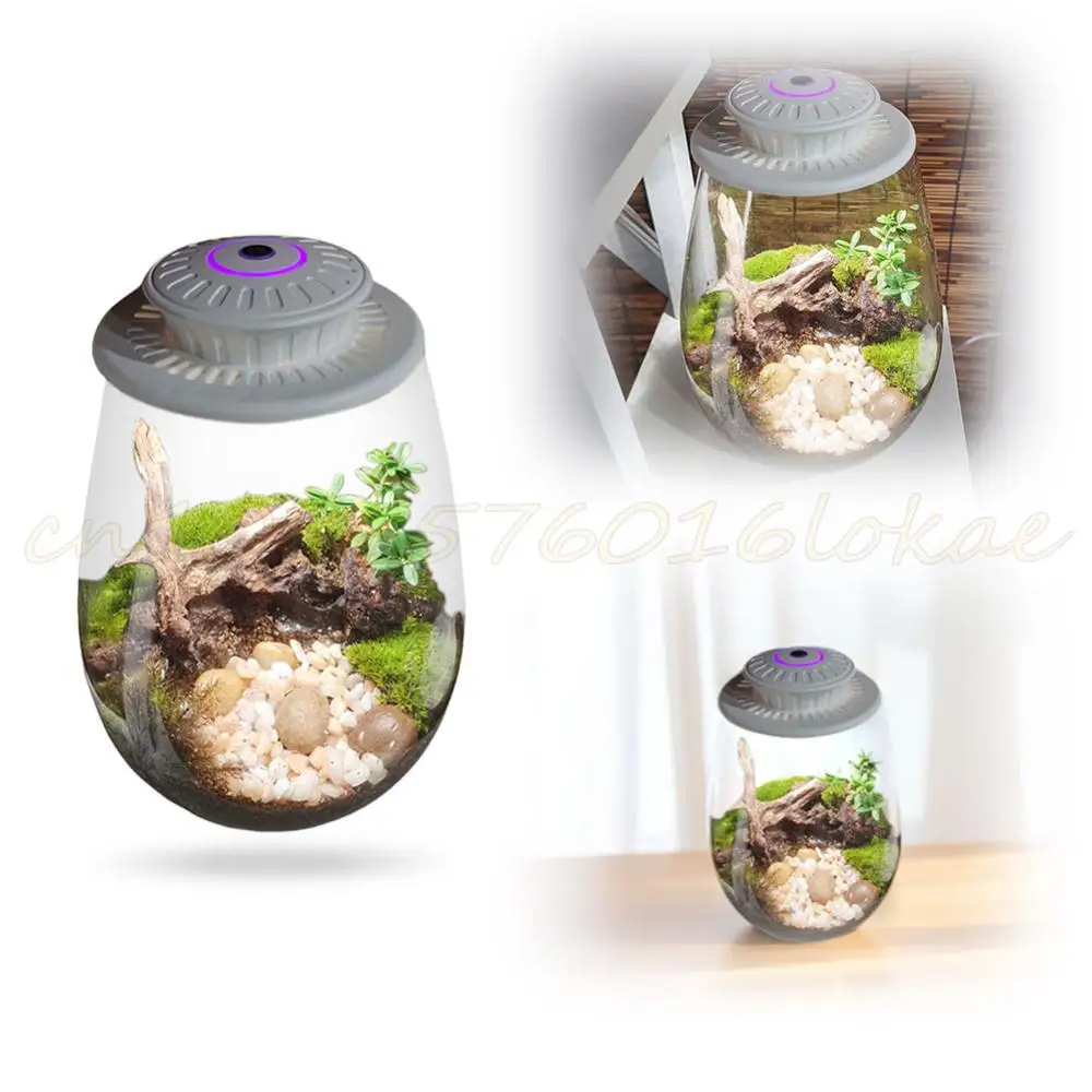 Миниатюрный Настольный Стеклянный Террариум С Таймером Светодиодный Светильник