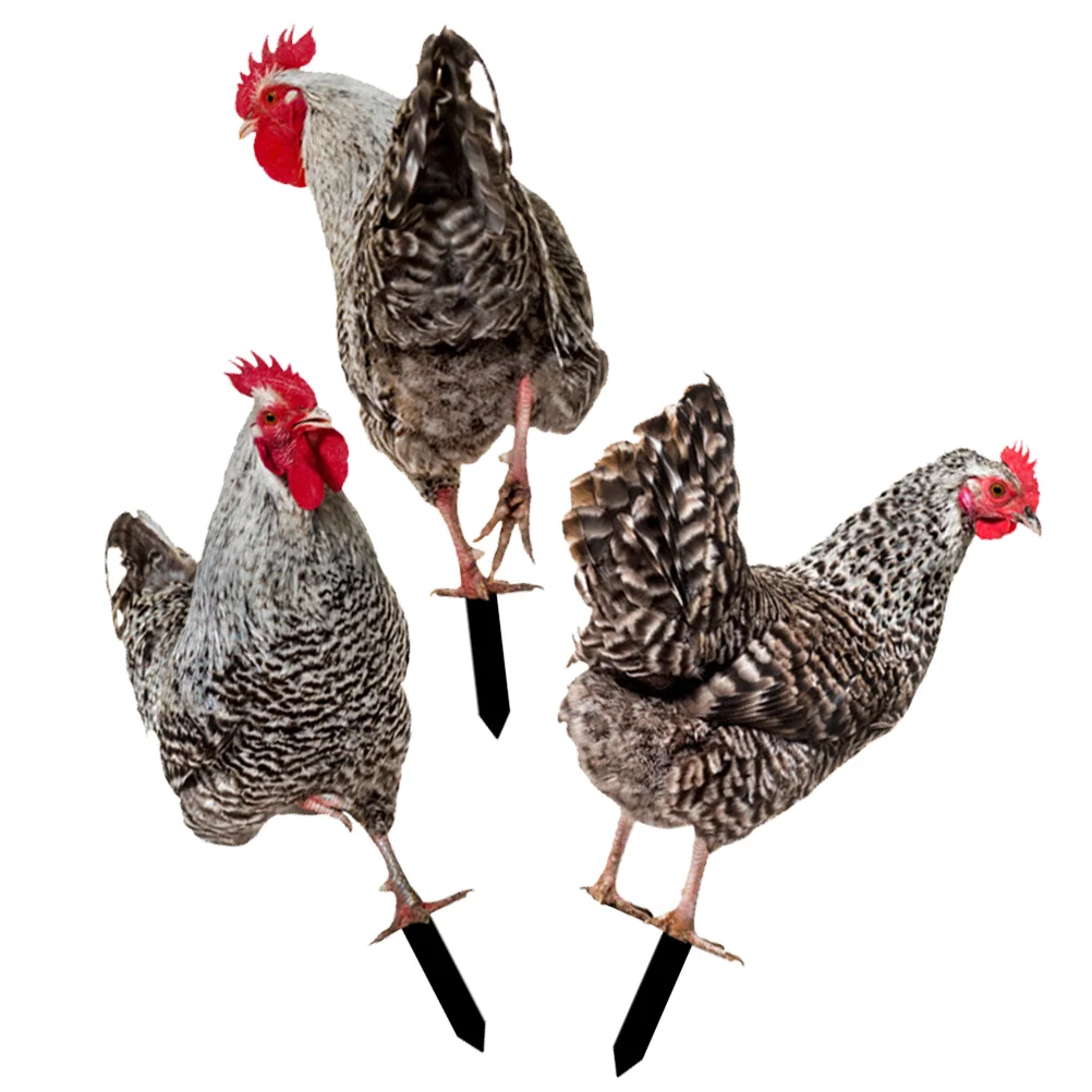 

3 Pcs Outdoor Statues Decorative Garden Inserts Lawn Chicken Yard Ornament Stake Acrylic Yards