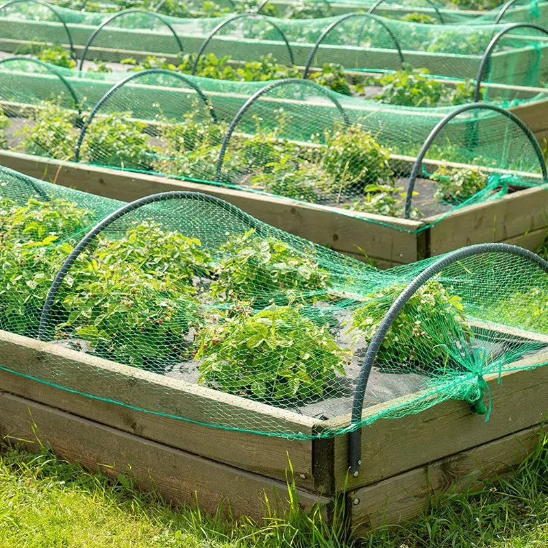 Сетка для птиц фруктовые деревья-сетка фруктовых деревьев защитная зеленая