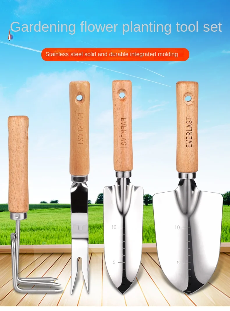 

Уличный пляж, маленькая фотография, растение овощей, растение цветов, фотоинструменты