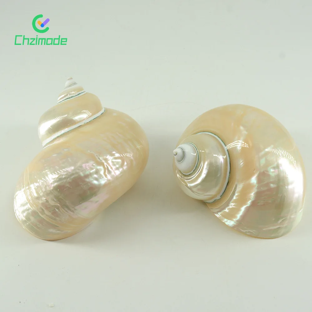 

2 шт. серебряные ракушки орнамент DIY Ручная работа ракушки Подвески 3D аксессуары богемные украшения домашний декор