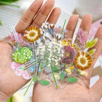 30pcsbag 8 style vintage botanical stickers aesthetic flowers hand account material decorative stationery waterpoof sticker