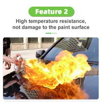 Защитное кузовное покрытие#4