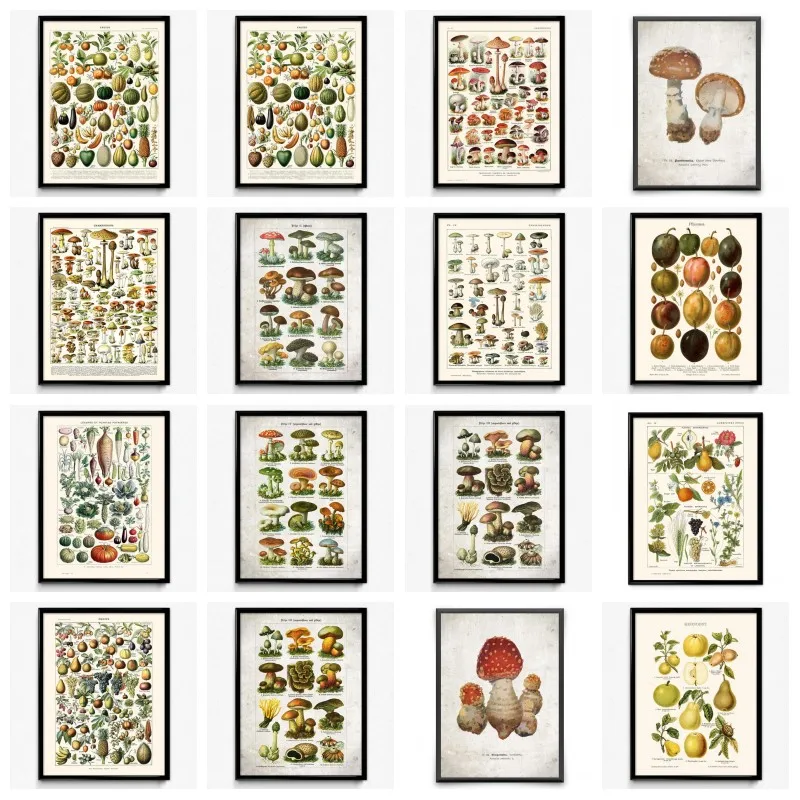 

Постеры на холсте с изображением растений, грибов и фруктов