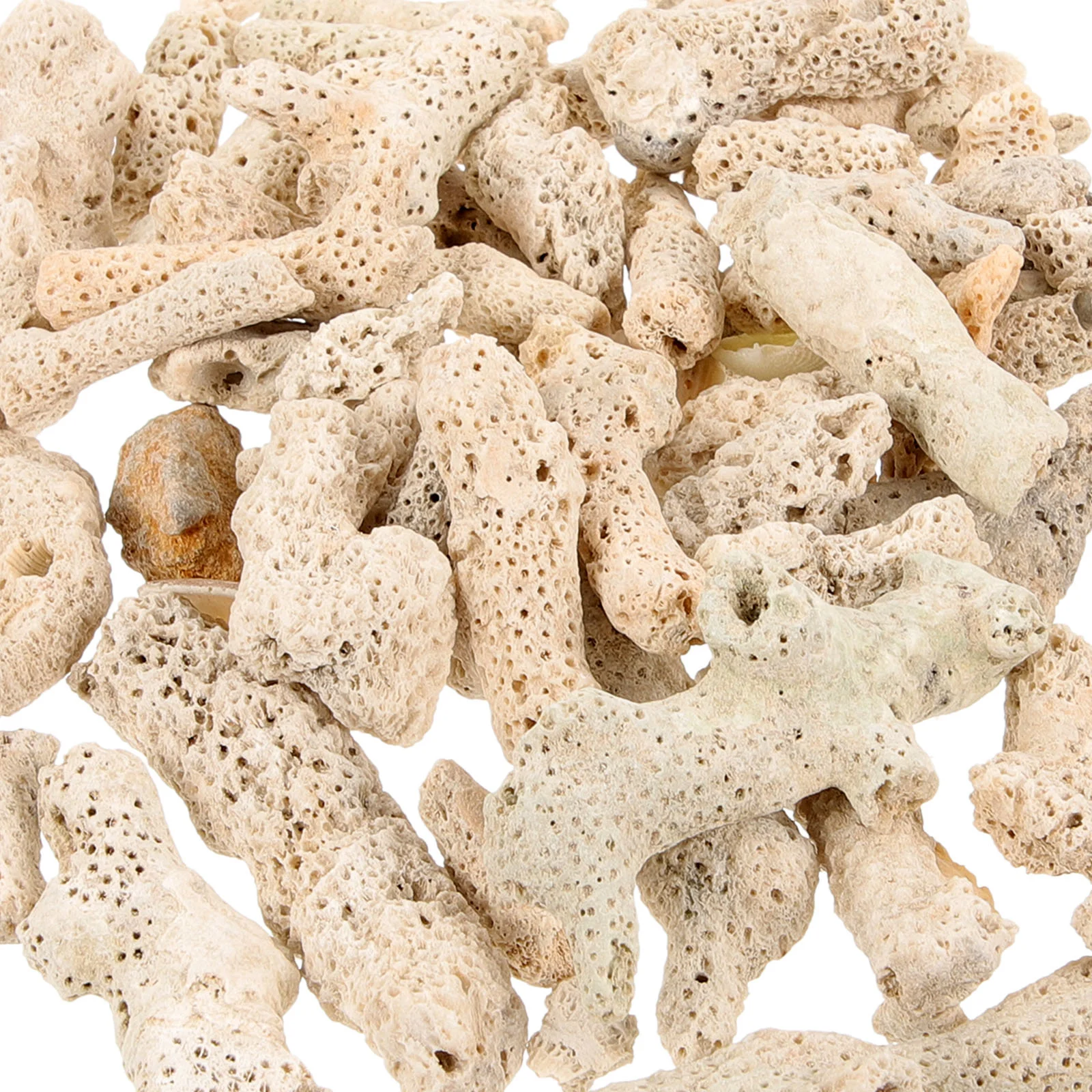 Коралловый фильтр для аквариума натуральная среда аксессуары очистки воды в