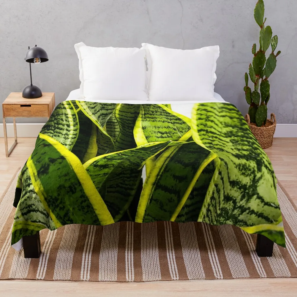 Sansevieria змеиное растение пледы роскошные одеяла St Thins