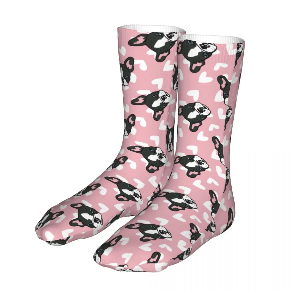 

Cartoon Bulldog Dog Woman Socks 2022 Men Animal Bike Socks
