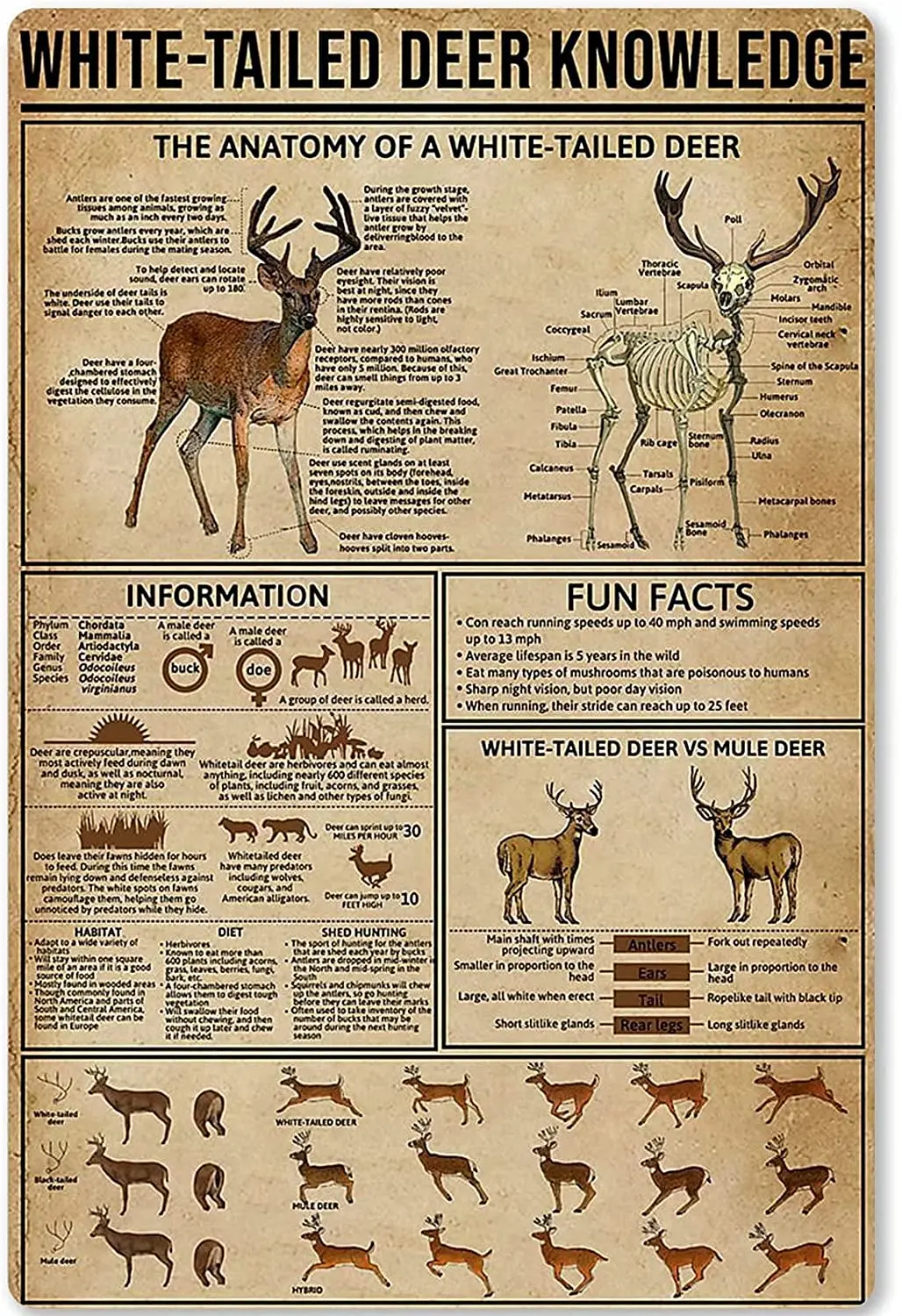

Metal Tin Sign White-Tailed Deer Knowledge Hunting Knowledge Poster Unplaning Infographics Farmhouse Farm Home Kitchen